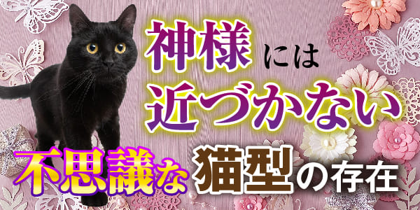 神様には近づかない、不思議な猫型の存在