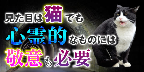 見た目は猫でも、心霊的なものには敬意も必要