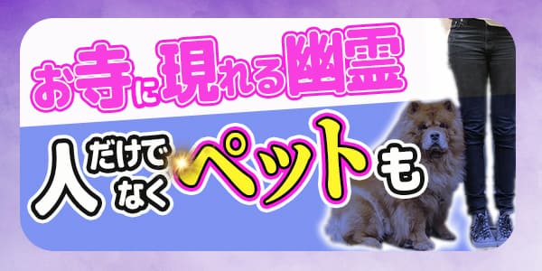 お寺に現れる幽霊、人だけでなくペットも