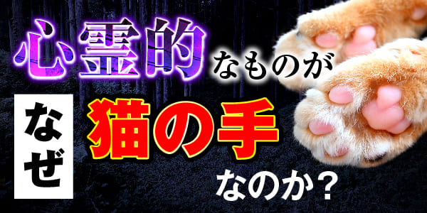 心霊的なものが、なぜ猫の形なのか？