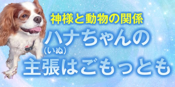 神様と動物の関係　ハナちゃん（いぬ）の主張はごもっとも