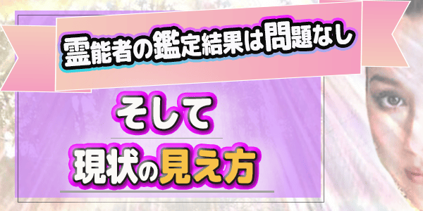 霊能者の鑑定結果は問題なし、そして現状の見え方