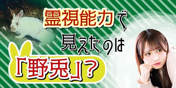 霊視能力で見えたのは「野兎」？