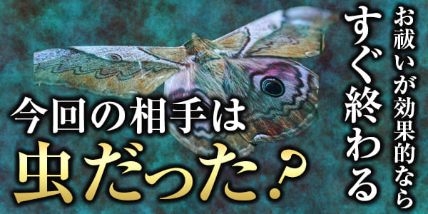 今回の相手は虫だった