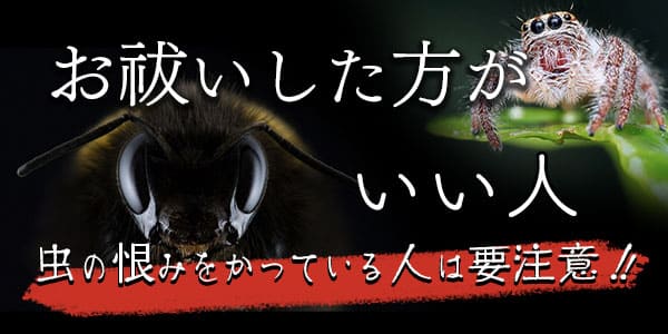 お祓いした方がいい人　虫の恨みをかっている人は要注意！