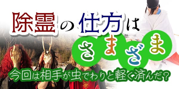 除霊の仕方はさまざま今回は相手が虫でわりと軽く済んだ？