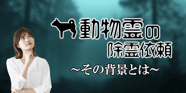 動物例の除霊依頼、その背景