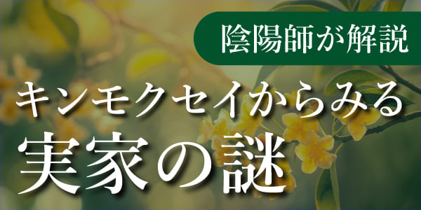 陰陽師が解説_キンモクセイからみる実家の謎